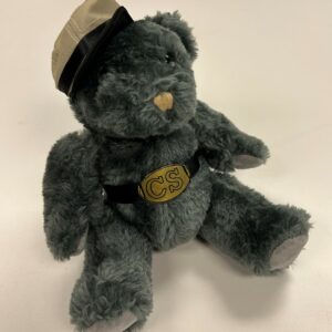 Confederate stuffed bear